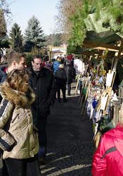 _DSC (3)