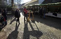 _DSC (33)