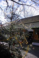 _DSC (36)