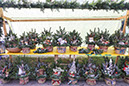 %_tempFileNameAdventmarkt2019%20(149)%