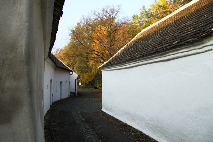 KG_0025