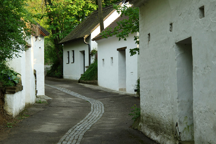 KG_0085