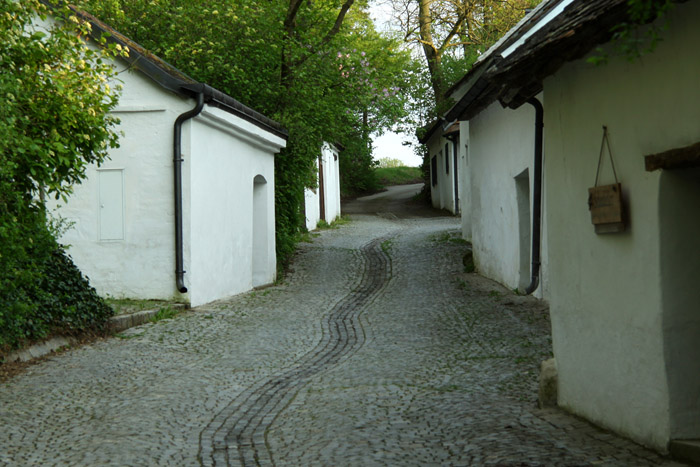 KG_0088