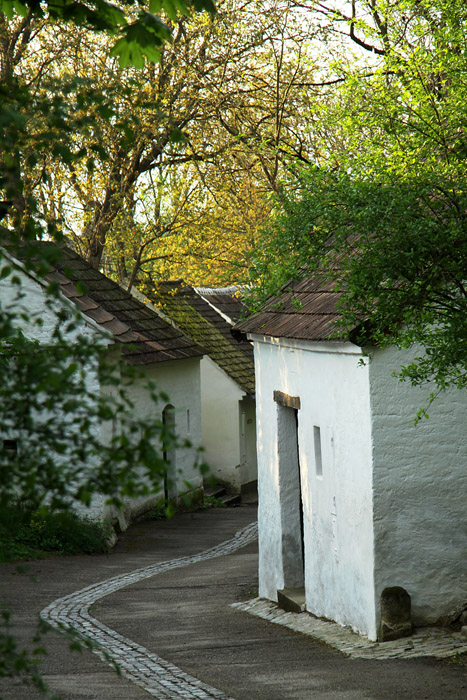 KG_0089