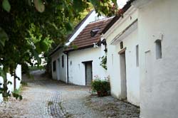 KG_0109