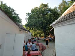 Ringelrein 2010 1 026
