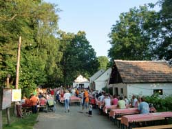 Ringelrein 2010 1 039