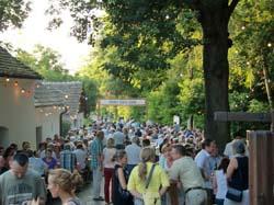 Ringelrein 2010 1 052