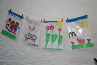 IMG_4558 (Large)