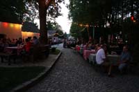 IMG_4730 (Large)