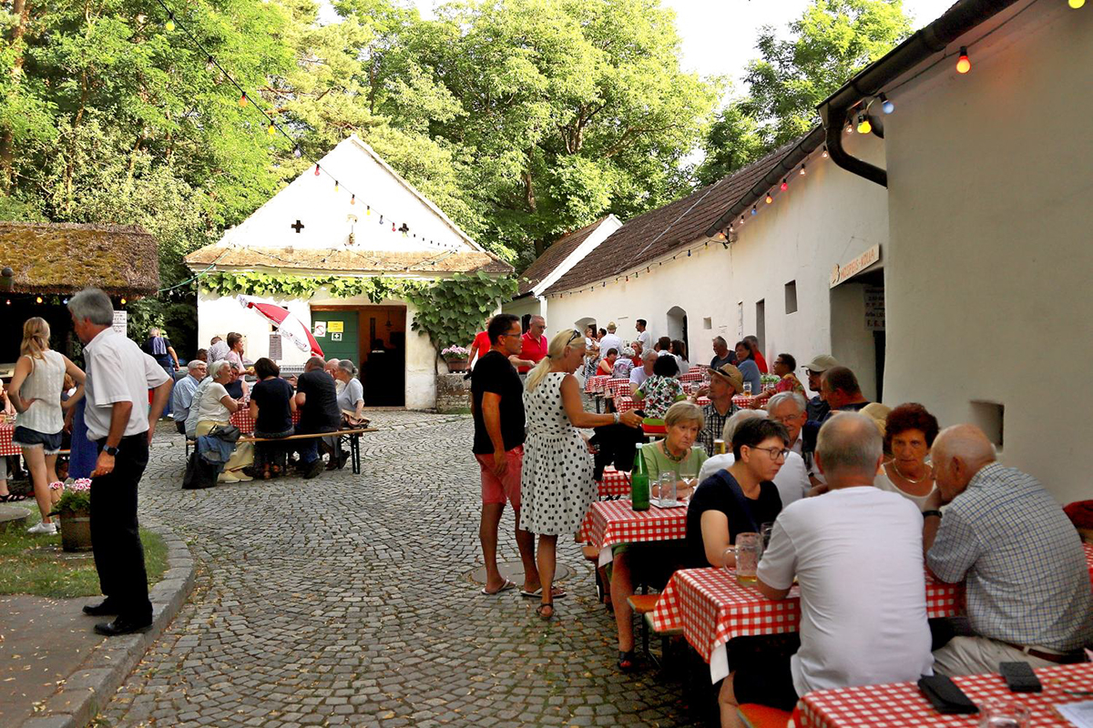 %_tempFileNameRingelreihn%20b%20Pinkelstein%202024%20(102)%